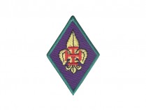 Distintivo Membro Mesa Conselho Regional