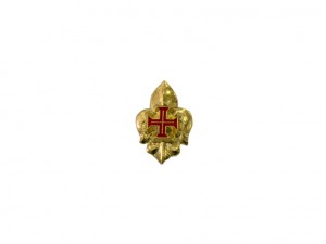  Emblema de Lapela Pequeno
