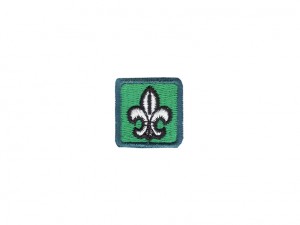 Distintivo Secção Explorador